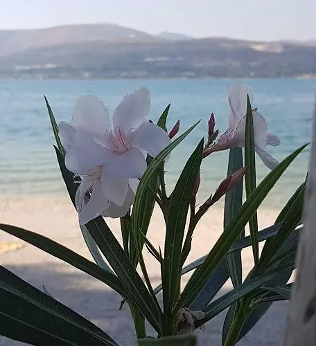 Apartment Cosy Corner